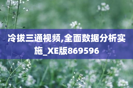 冷拔三通视频,全面数据分析实施_XE版869596