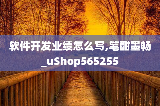 软件开发业绩怎么写,笔酣墨畅_uShop565255