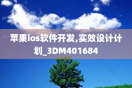 苹果ios软件开发,实效设计计划_3DM401684