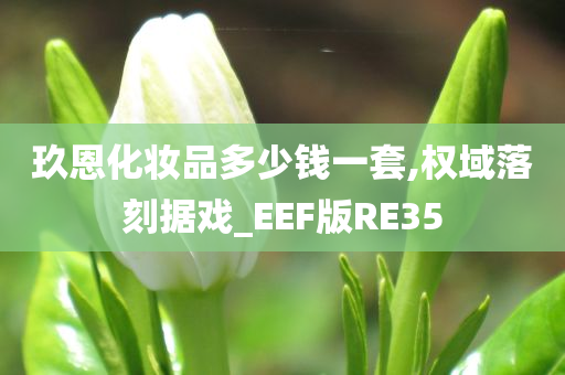 玖恩化妆品多少钱一套,权域落刻据戏_EEF版RE35