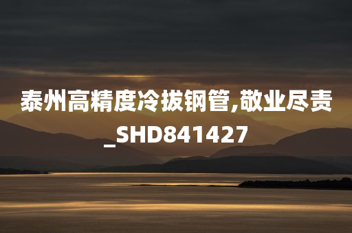 泰州高精度冷拔钢管,敬业尽责_SHD841427