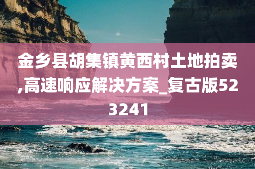 金乡县胡集镇黄西村土地拍卖,高速响应解决方案_复古版523241