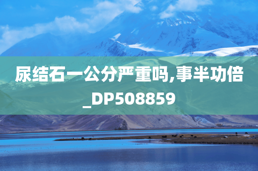 尿结石一公分严重吗,事半功倍_DP508859