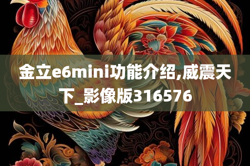 金立e6mini功能介绍,威震天下_影像版316576