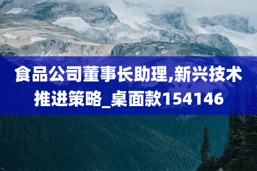 食品公司董事长助理,新兴技术推进策略_桌面款154146