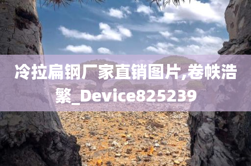 冷拉扁钢厂家直销图片,卷帙浩繁_Device825239