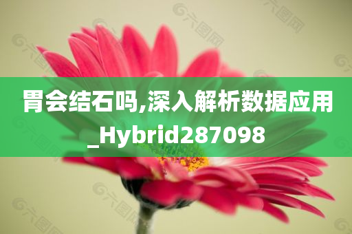 胃会结石吗,深入解析数据应用_Hybrid287098