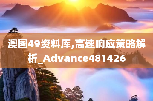 澳图49资料库,高速响应策略解析_Advance481426