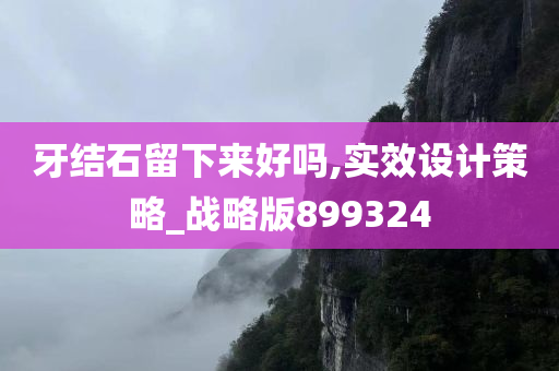 牙结石留下来好吗,实效设计策略_战略版899324