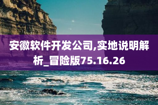 安徽软件开发公司,实地说明解析_冒险版75.16.26