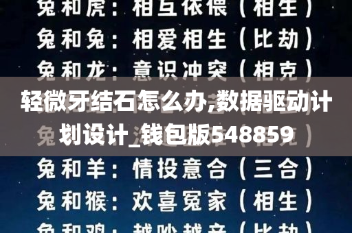 轻微牙结石怎么办,数据驱动计划设计_钱包版548859