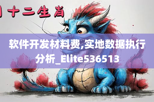 软件开发材料费,实地数据执行分析_Elite536513