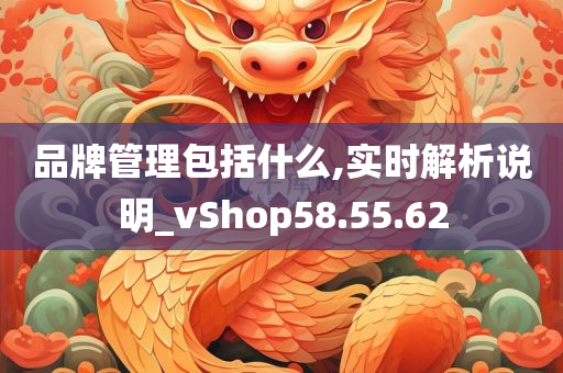 品牌管理包括什么,实时解析说明_vShop58.55.62