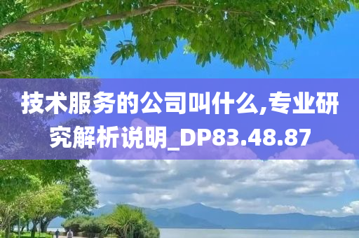 技术服务的公司叫什么,专业研究解析说明_DP83.48.87