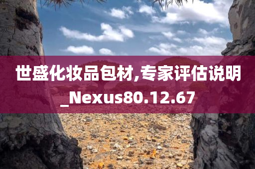 世盛化妆品包材,专家评估说明_Nexus80.12.67