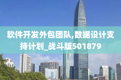 软件开发外包团队,数据设计支持计划_战斗版501879