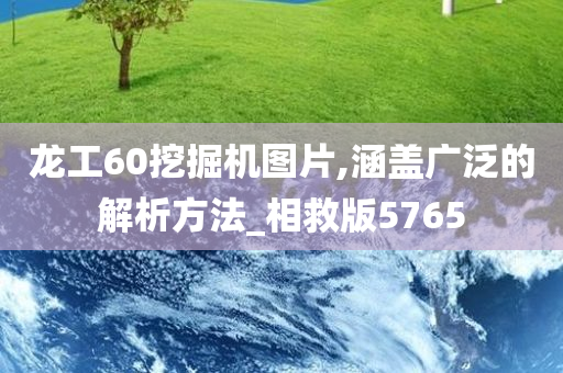 龙工60挖掘机图片,涵盖广泛的解析方法_相救版5765