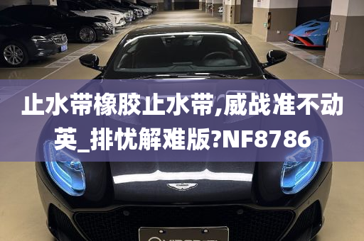 止水带橡胶止水带,威战准不动英_排忧解难版?NF8786