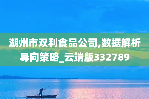 湖州市双利食品公司,数据解析导向策略_云端版332789