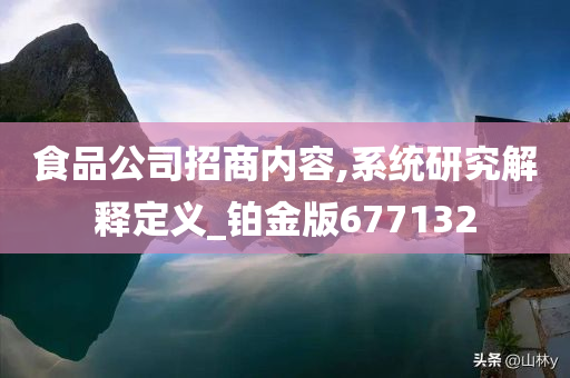 食品公司招商内容,系统研究解释定义_铂金版677132