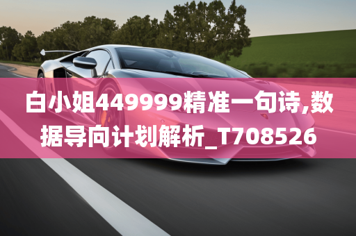 白小姐449999精准一句诗,数据导向计划解析_T708526