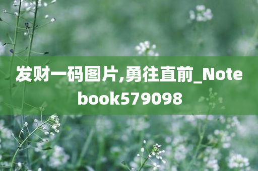 发财一码图片,勇往直前_Notebook579098