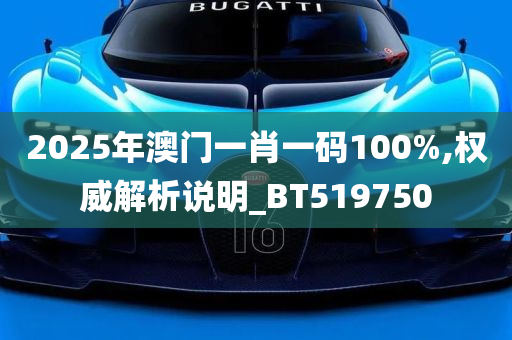 2025年澳门一肖一码100%,权威解析说明_BT519750