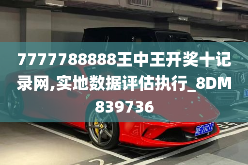 7777788888王中王开奖十记录网,实地数据评估执行_8DM839736