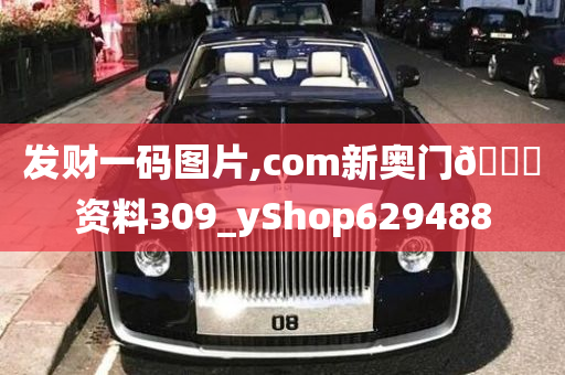 发财一码图片,com新奥门🐎资料309_yShop629488