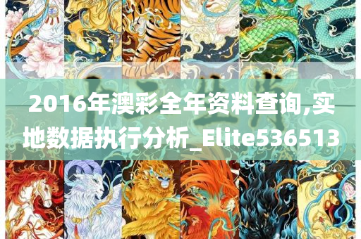 2016年澳彩全年资料查询,实地数据执行分析_Elite536513