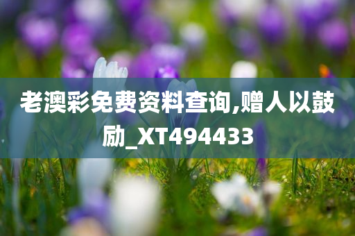 老澳彩免费资料查询,赠人以鼓励_XT494433