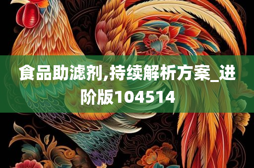 食品助滤剂,持续解析方案_进阶版104514