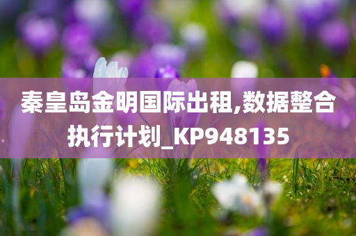 秦皇岛金明国际出租,数据整合执行计划_KP948135