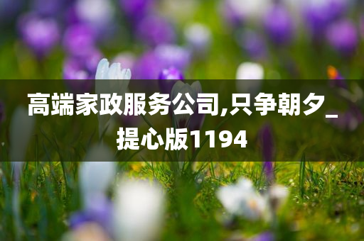 高端家政服务公司,只争朝夕_提心版1194