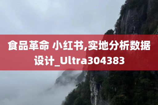 食品革命 小红书,实地分析数据设计_Ultra304383