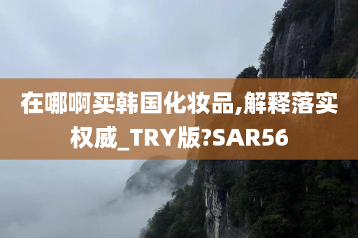 在哪啊买韩国化妆品,解释落实权威_TRY版?SAR56