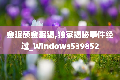 金珉硕金珉锡,独家揭秘事件经过_Windows539852