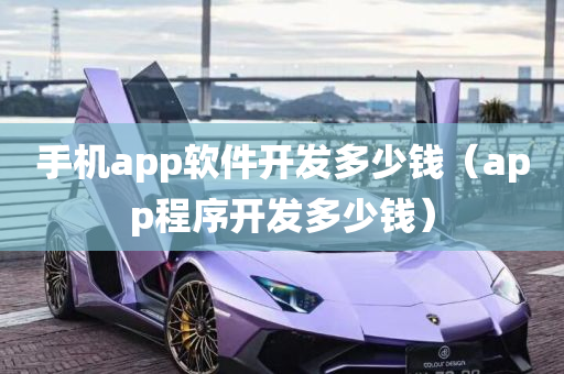 手机app软件开发多少钱（app程序开发多少钱）