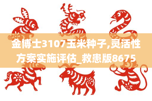 金博士3107玉米种子,灵活性方案实施评估_救患版8675