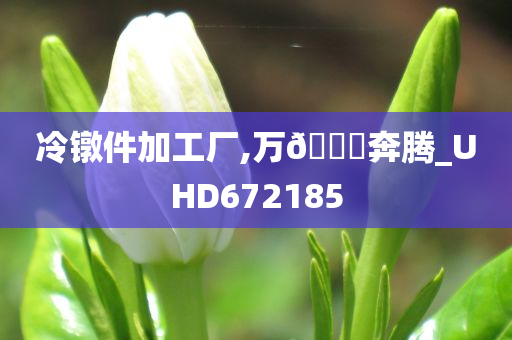 冷镦件加工厂,万🐎奔腾_UHD672185