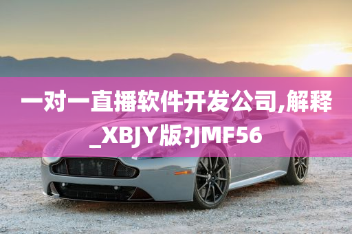 一对一直播软件开发公司,解释_XBJY版?JMF56