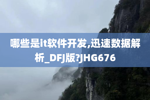 哪些是it软件开发,迅速数据解析_DFJ版?JHG676