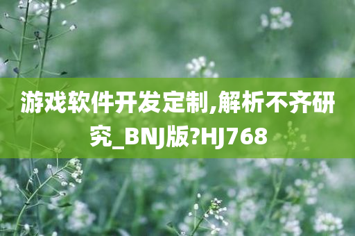 游戏软件开发定制,解析不齐研究_BNJ版?HJ768