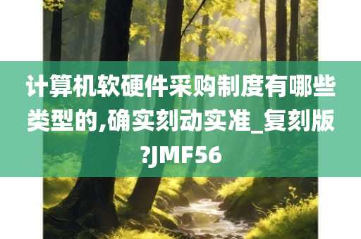 计算机软硬件采购制度有哪些类型的,确实刻动实准_复刻版?JMF56