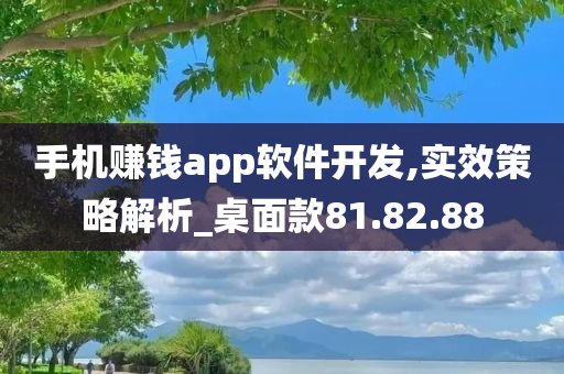 手机赚钱app软件开发,实效策略解析_桌面款81.82.88