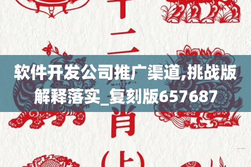 软件开发公司推广渠道,挑战版解释落实_复刻版657687