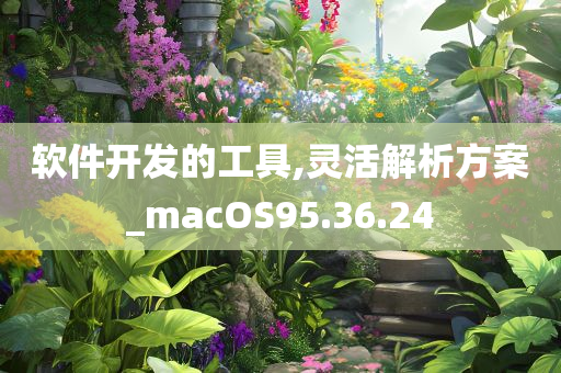 软件开发的工具,灵活解析方案_macOS95.36.24