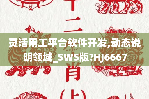 灵活用工平台软件开发,动态说明领域_SWS版?HJ6667