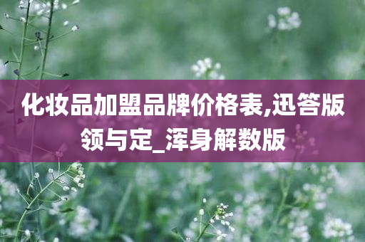 化妆品加盟品牌价格表,迅答版领与定_浑身解数版