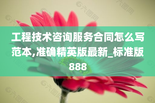 工程技术咨询服务合同怎么写范本,准确精英版最新_标准版888